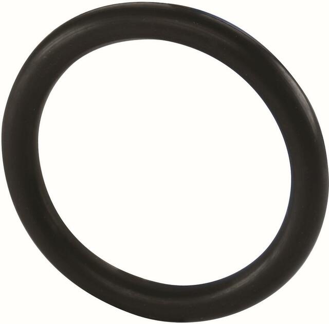 SF TECTITE O-Ring 54mm, pro Beutel